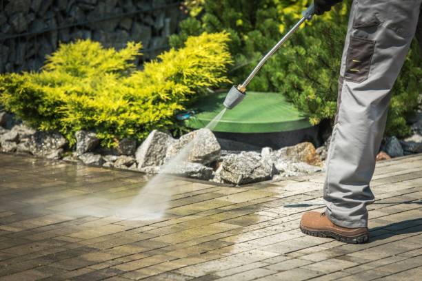 Boat and Dock Cleaning in Pelahatchie, MS