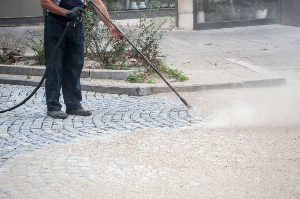 Best Sign and Awning Cleaning  in Pelahatchie, MS