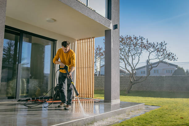 Best Graffiti Removal  in Pelahatchie, MS