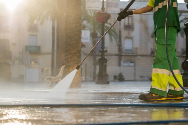 Best Sidewalk and Walkway Cleaning  in Pelahatchie, MS